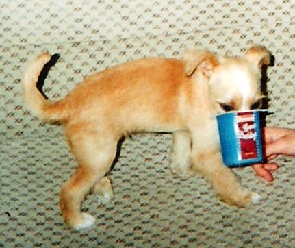 rakim qui mange un yaourt