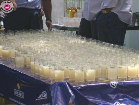 plan anti canicule (mais aussi anti soif et mon rêve!)